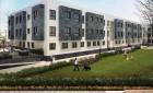 New Build - Apartments - Torre Pacheco - - Centro  -