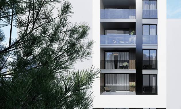 Apartamentos · Nueva construcción  · Guardamar del Segura · Centro