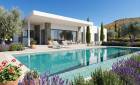 New Build - Villaer - Pinoso - Casas Pastor