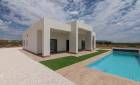 New Build - Villas - Pinoso - Campo