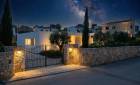 New Build - Villas - Pinoso - Casas Pastor