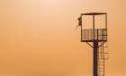 Nouvelle construction - Appartements - Almerimar