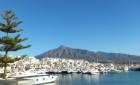 Nouvelle construction - Ground floor apartment - Marbella - Nueva Andalucia