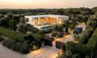 Nouvelle construction - Villas - Pinoso - Casas Pastor