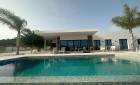 Nouvelle construction - Villas - Pinoso - Casas Pastor
