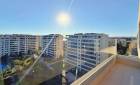 Venta - Apartamentos - Torrevieja - Punta Prima