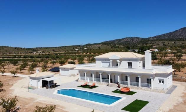 Villas · New Build · Pinoso · Camino Del Prado