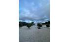  - Villas - Pinoso - Casas Pastor