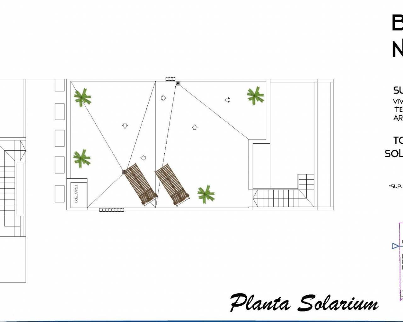 Nueva construcción  - Apartamentos - Guardamar del Segura - El Raso