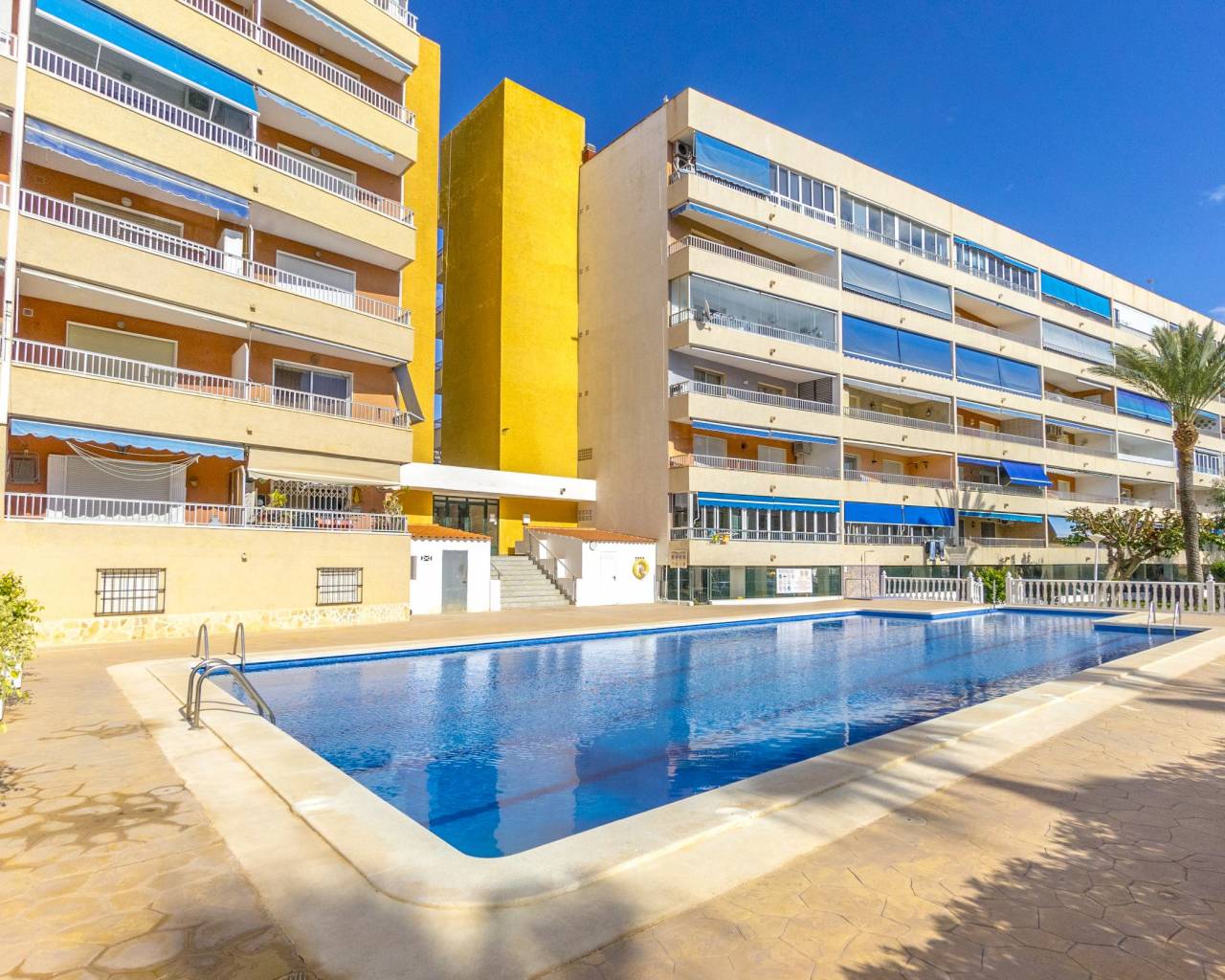 Revente - Appartements - Punta Prima - El Acequión