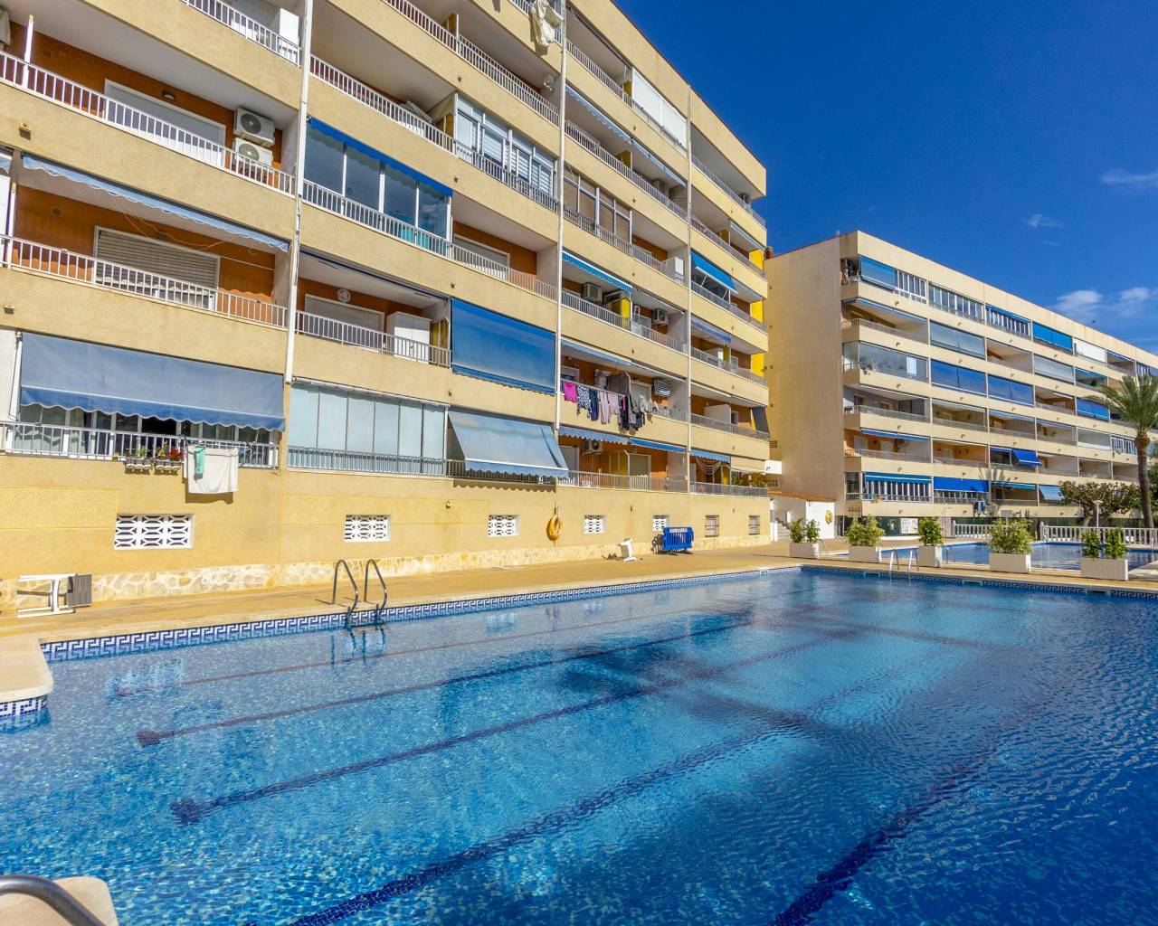 Revente - Appartements - Punta Prima - El Acequión