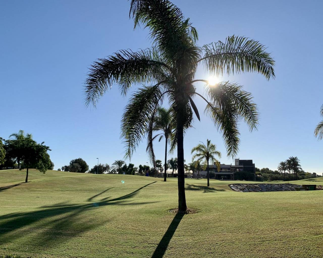 Nueva construcción  - Adosado / Bungalow - San Javier - Roda Golf