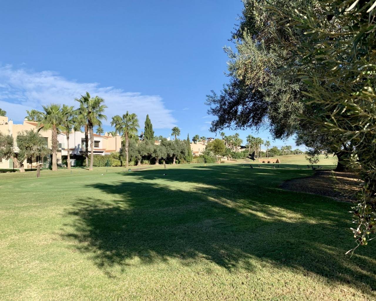 Nueva construcción  - Adosado / Bungalow - San Javier - Roda Golf