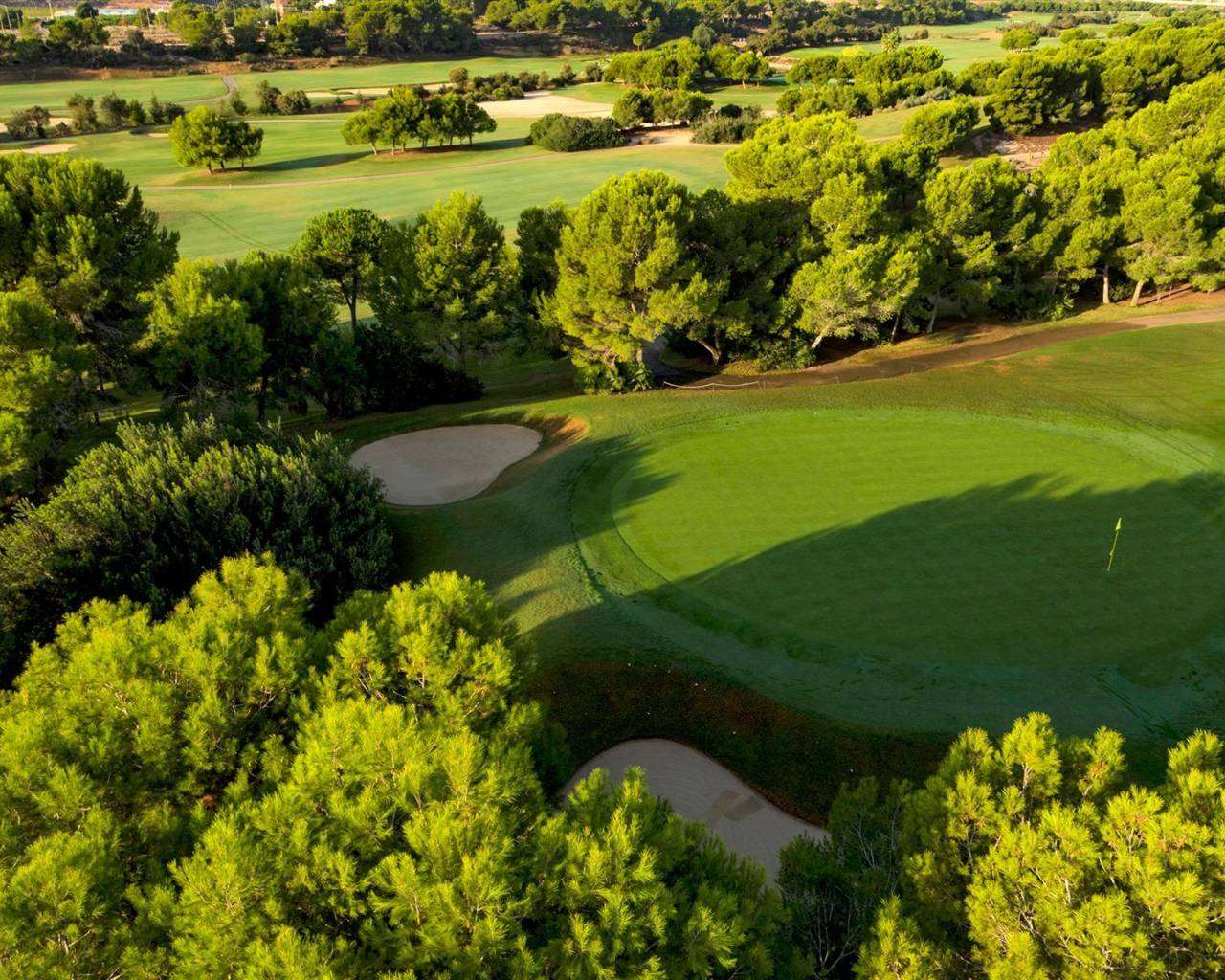 New Build - Villas - Pilar de La Horadada - Lo Romero Golf