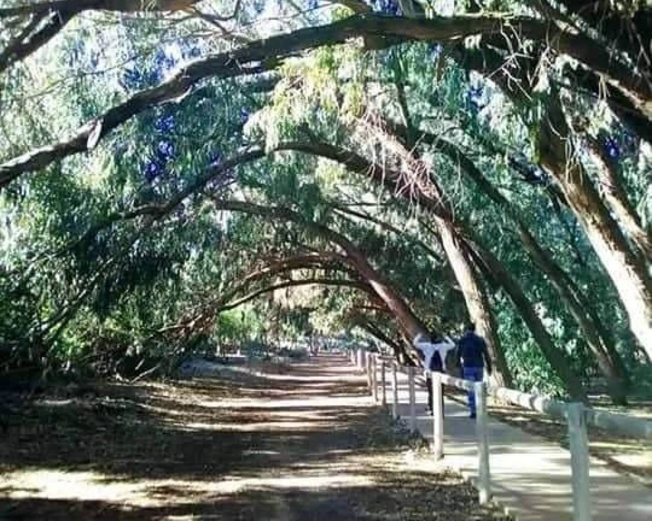 New Build - Bungalow  / Townhouse - Torrevieja - Altos del Sol