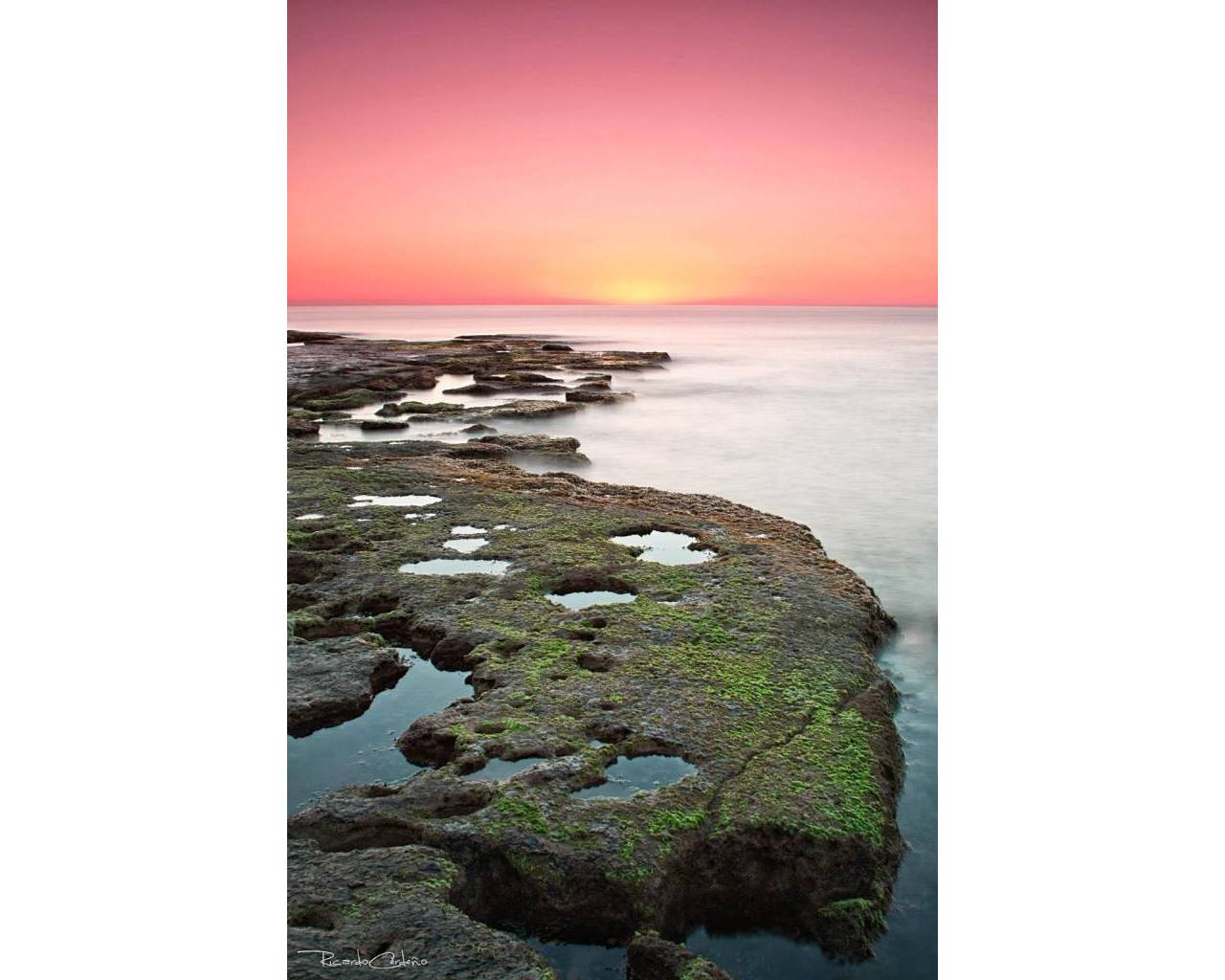 Nueva construcción  - Adosado / Bungalow - Torrevieja - Altos del Sol