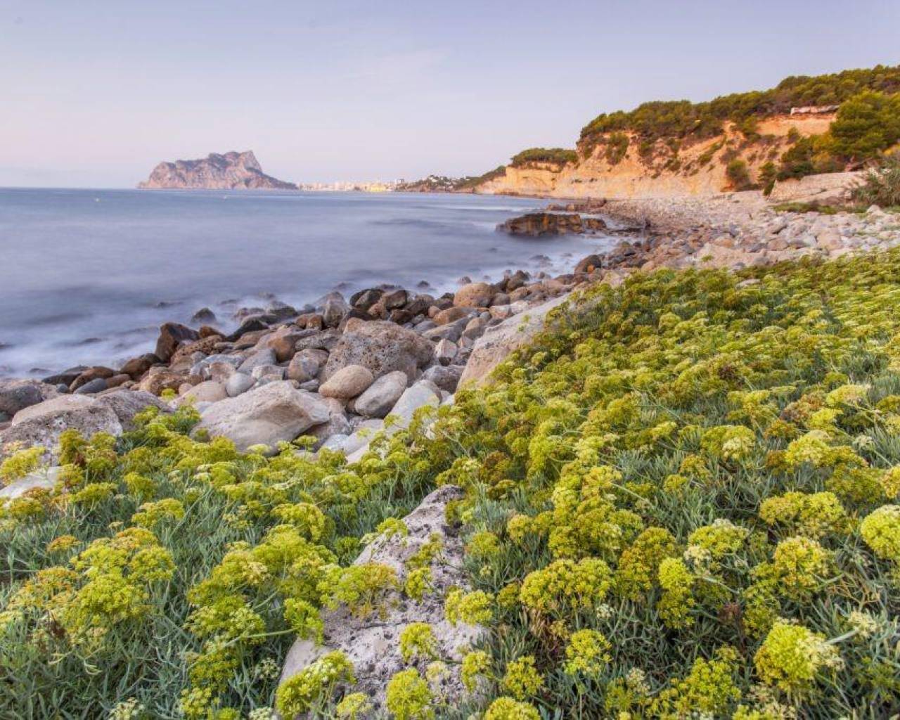 Nueva construcción  - Villas - Benissa - Cala Advocat