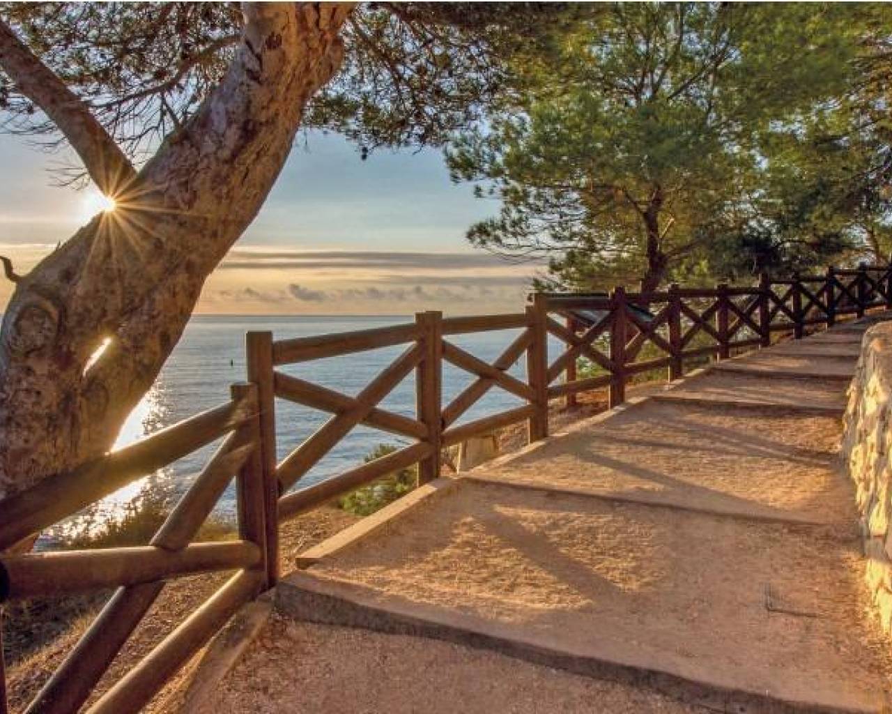 Nueva construcción  - Villas - Benissa - Cala Advocat