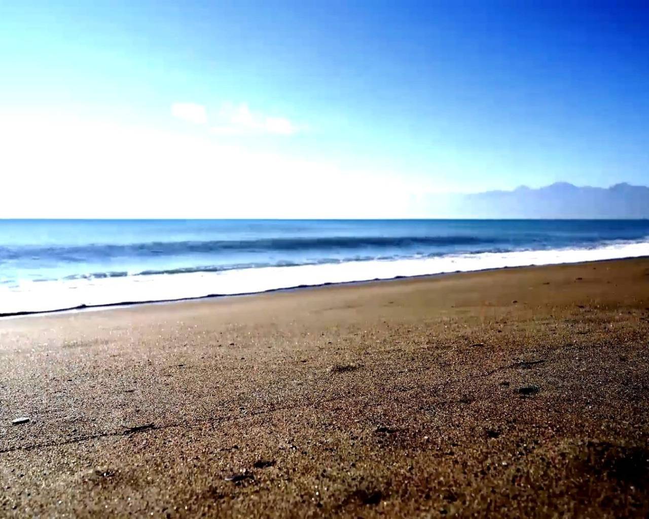 New Build - Apartments - Torrevieja - Centro