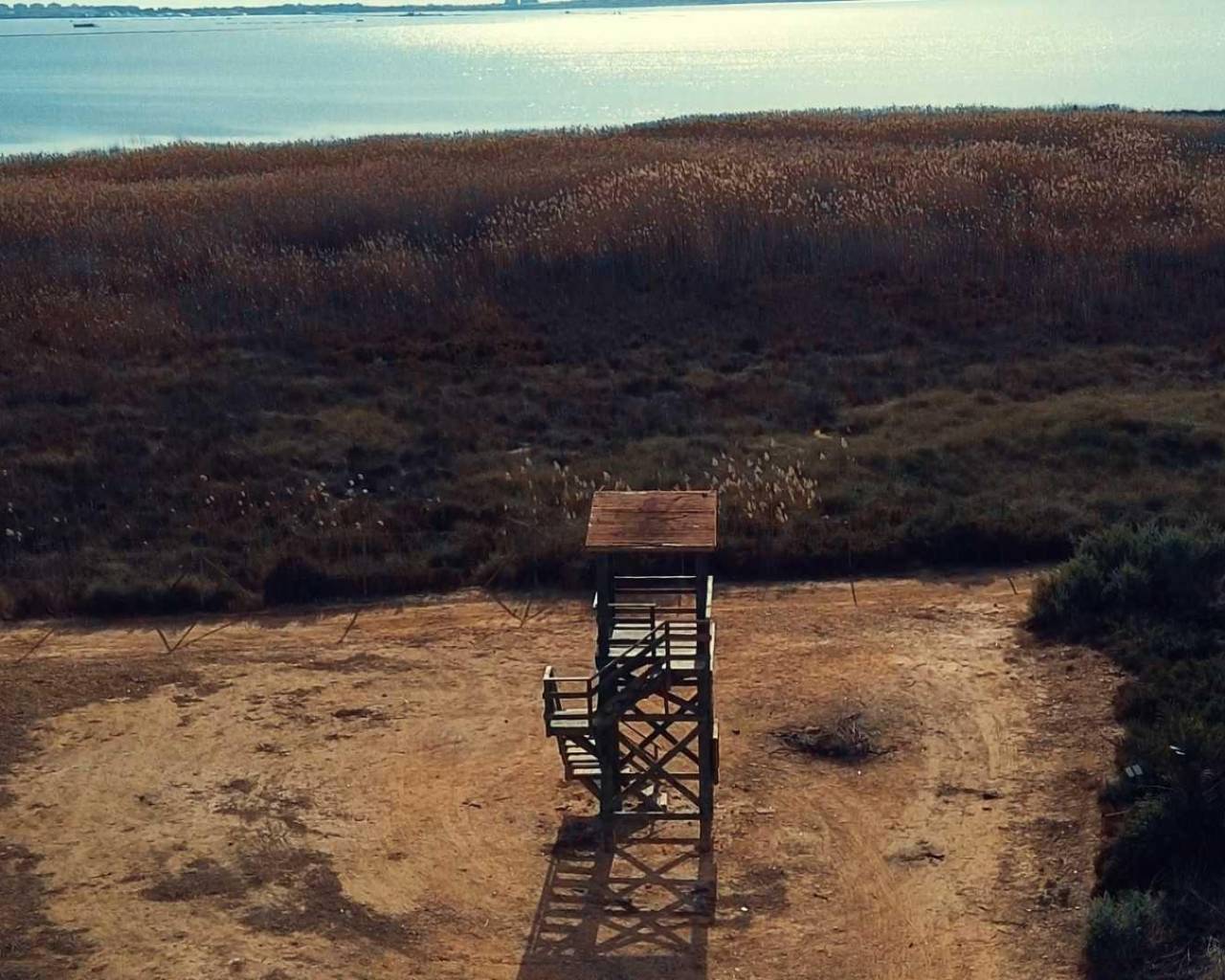 New Build - Villas - Los Montesinos - La Herrada