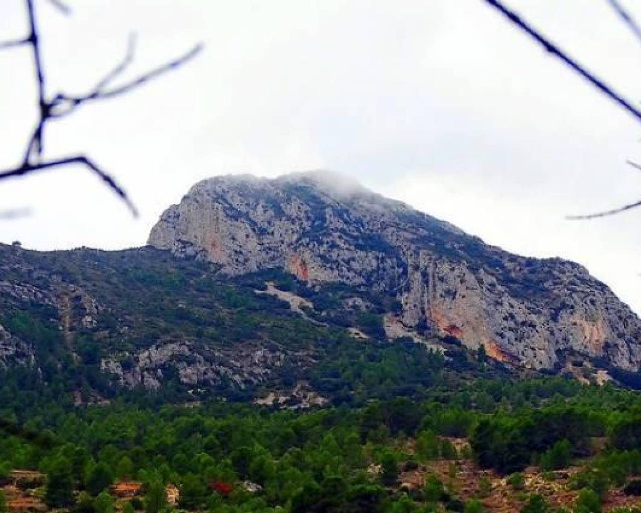 New Build - Villas - La Romana - Batistes