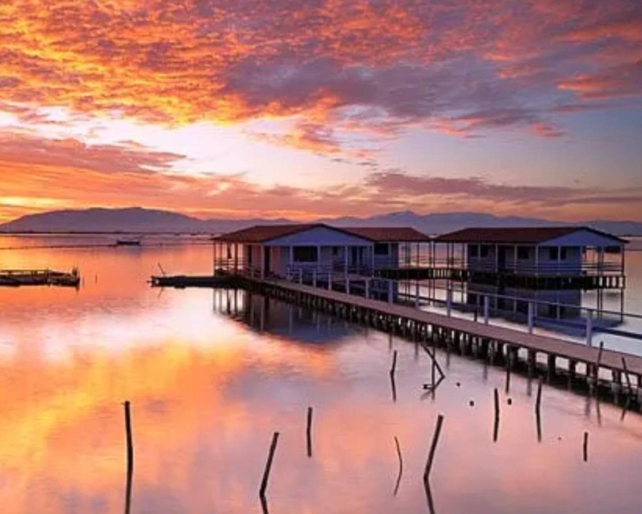 New Build - Bungalow  / Townhouse - San Pedro del Pinatar - Los Pinos