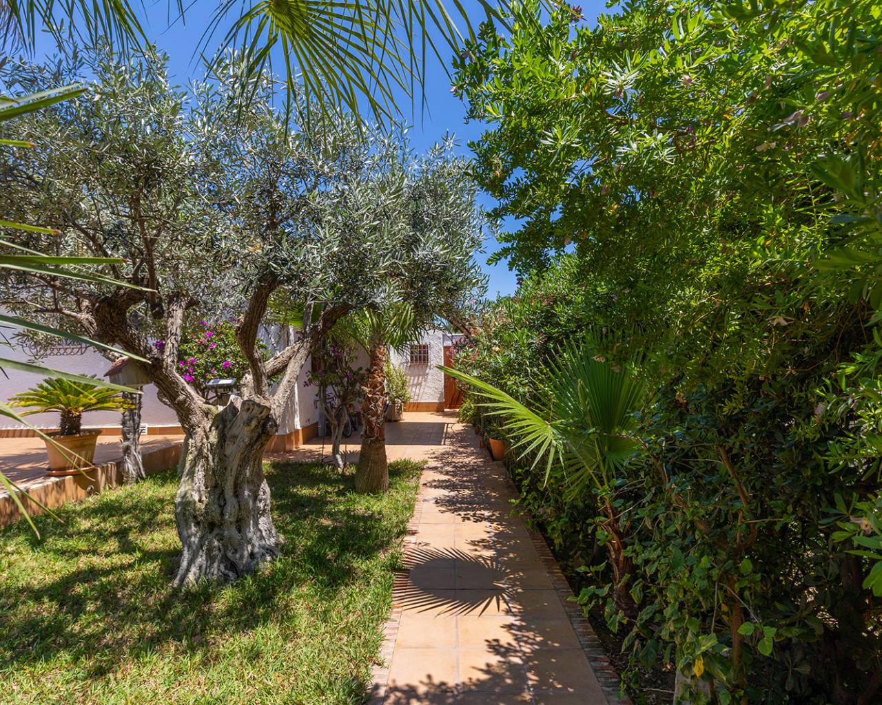 Resale - Villas - Orihuela Costa - Punta Prima