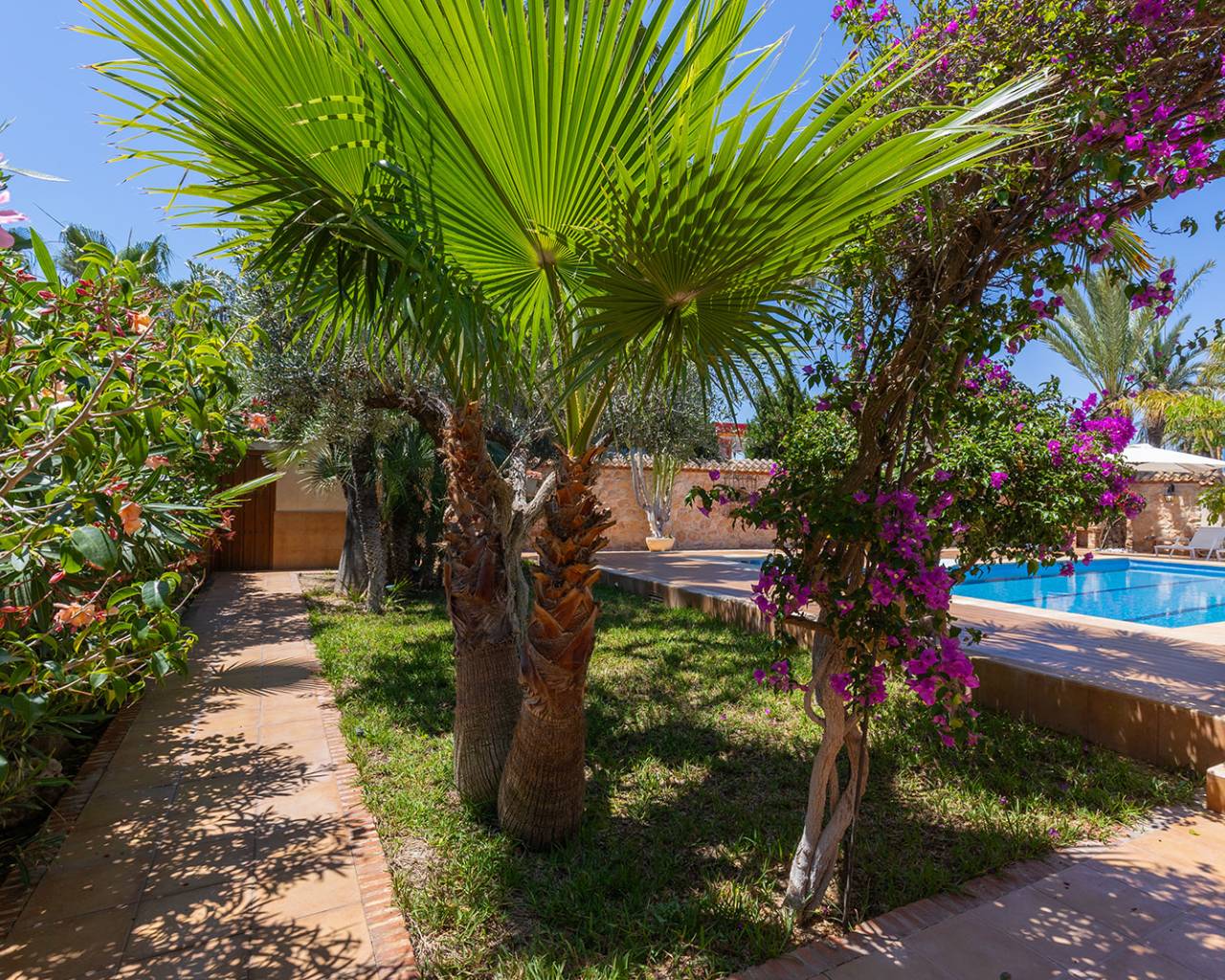 Resale - Villas - Orihuela Costa - Punta Prima