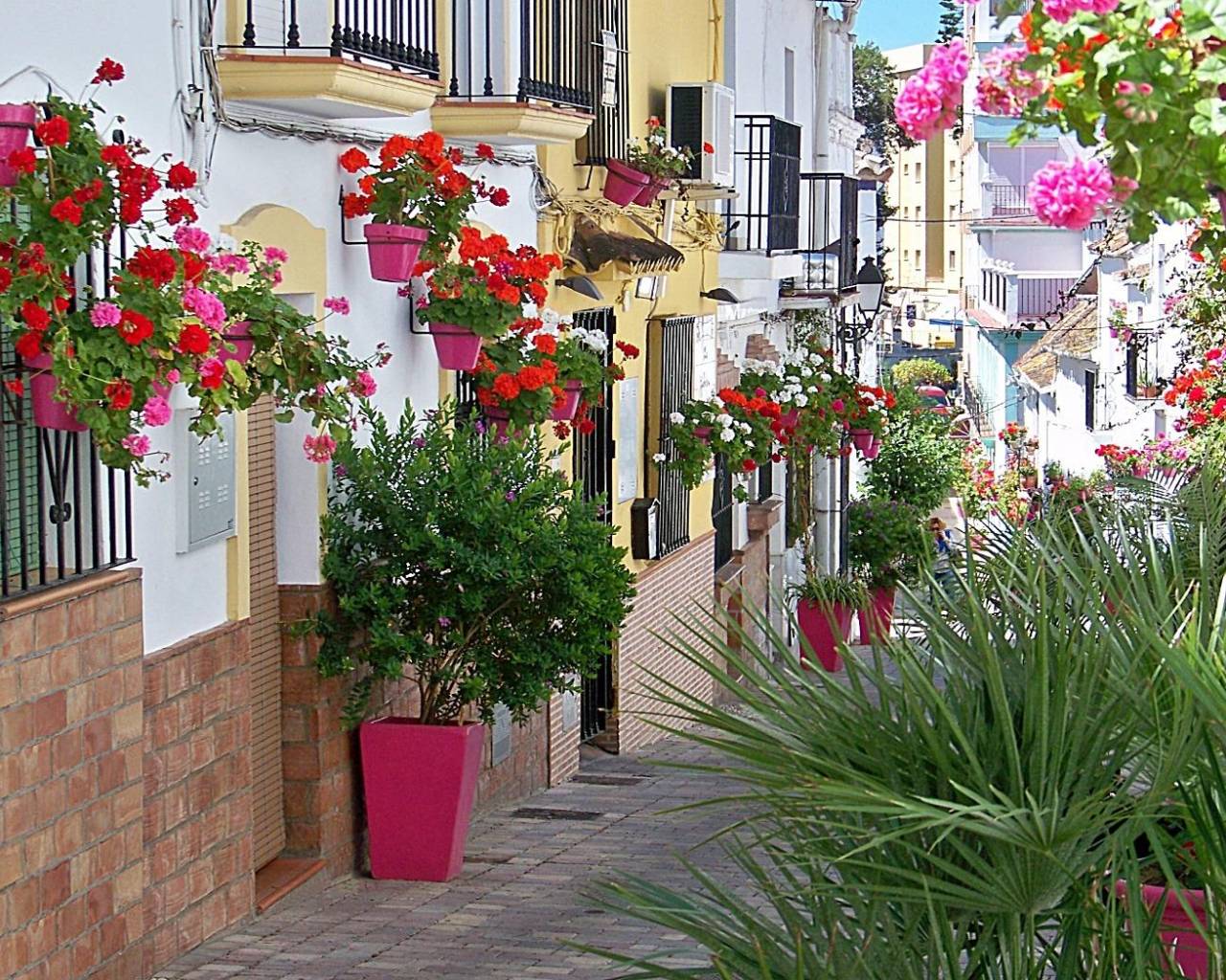 Nueva construcción  - Apartamentos - Estepona - Buenas Noches