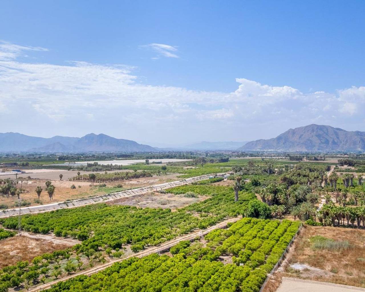 New Build - Apartments - Jacarilla - Comunidad Valenciana