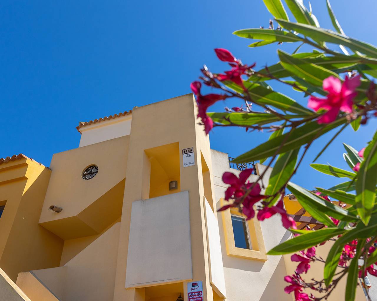  - Apartment - Torrevieja - Los Altos