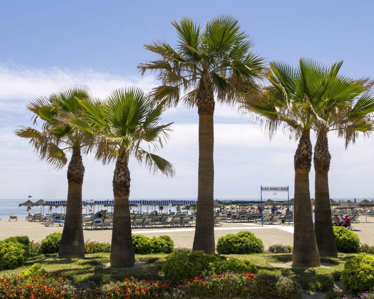 New Build - Apartments - Mijas - Hipódromo Costa del Sol