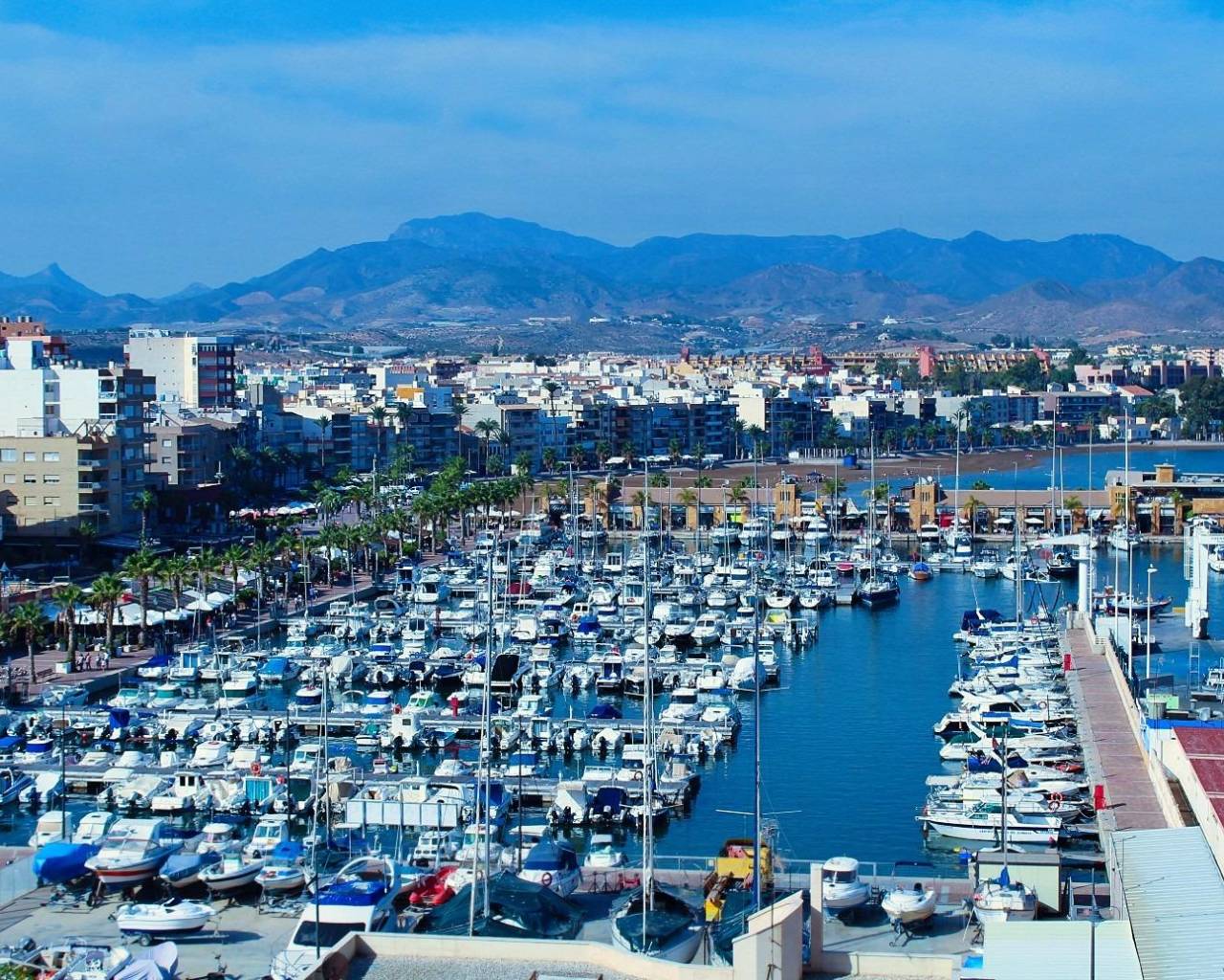 Nouvelle construction - Bungalow  / Townhouse - Fuente Álamo - La Pinilla