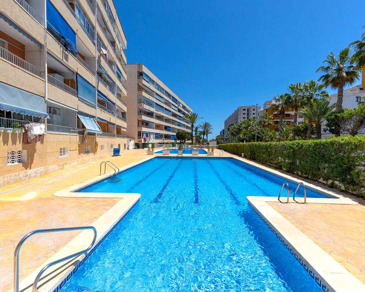 Resale - Apartments - Torrevieja - Rocio del Mar