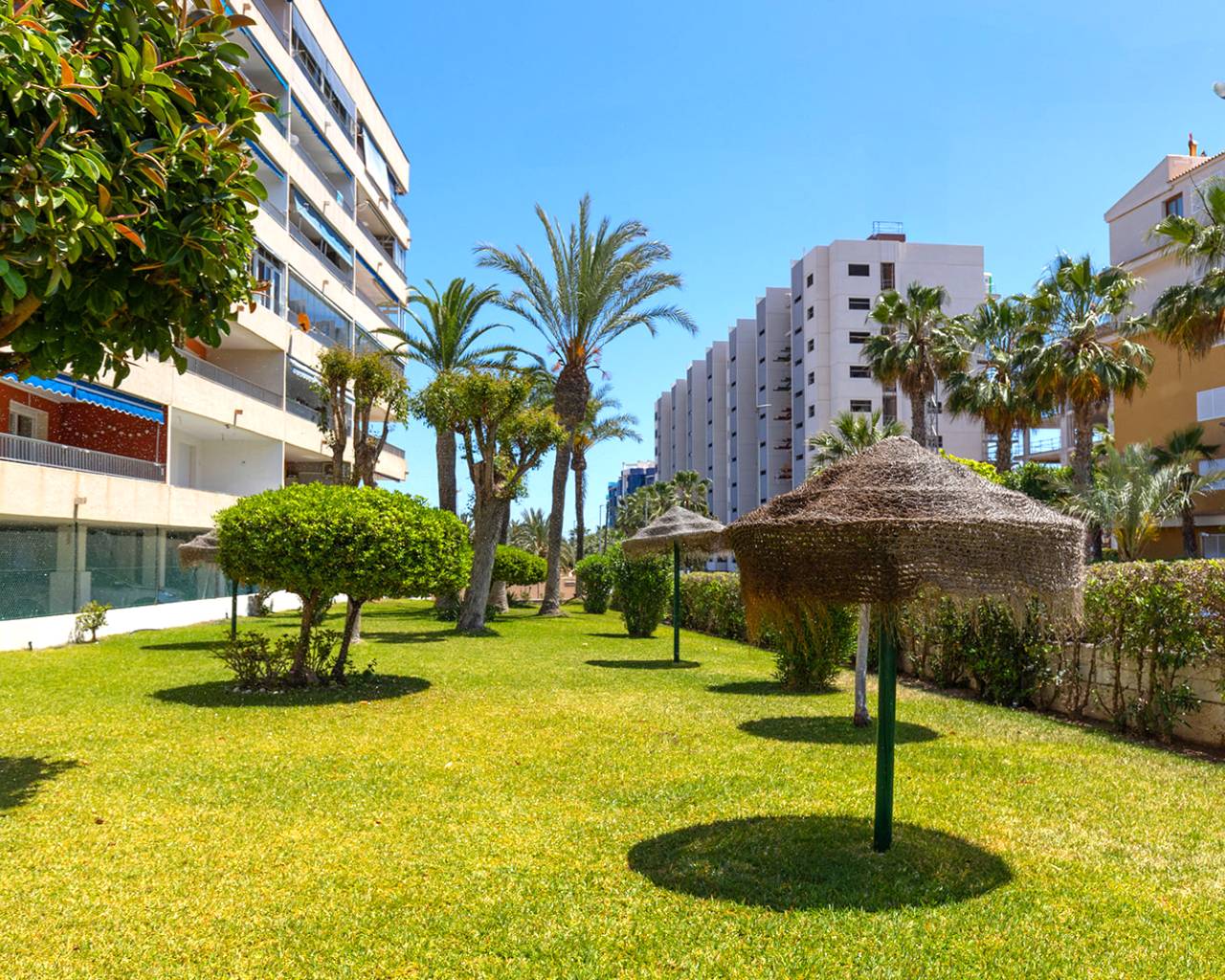 Resale - Apartments - Torrevieja - Rocio del Mar
