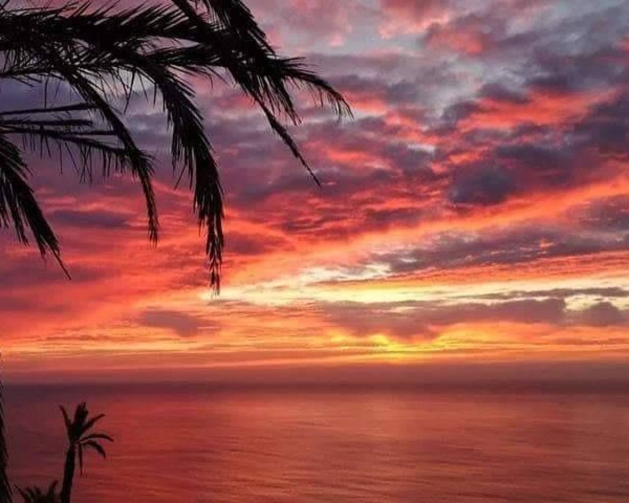  - Bungalow  / Townhouse - Torrevieja - Altos del Sol