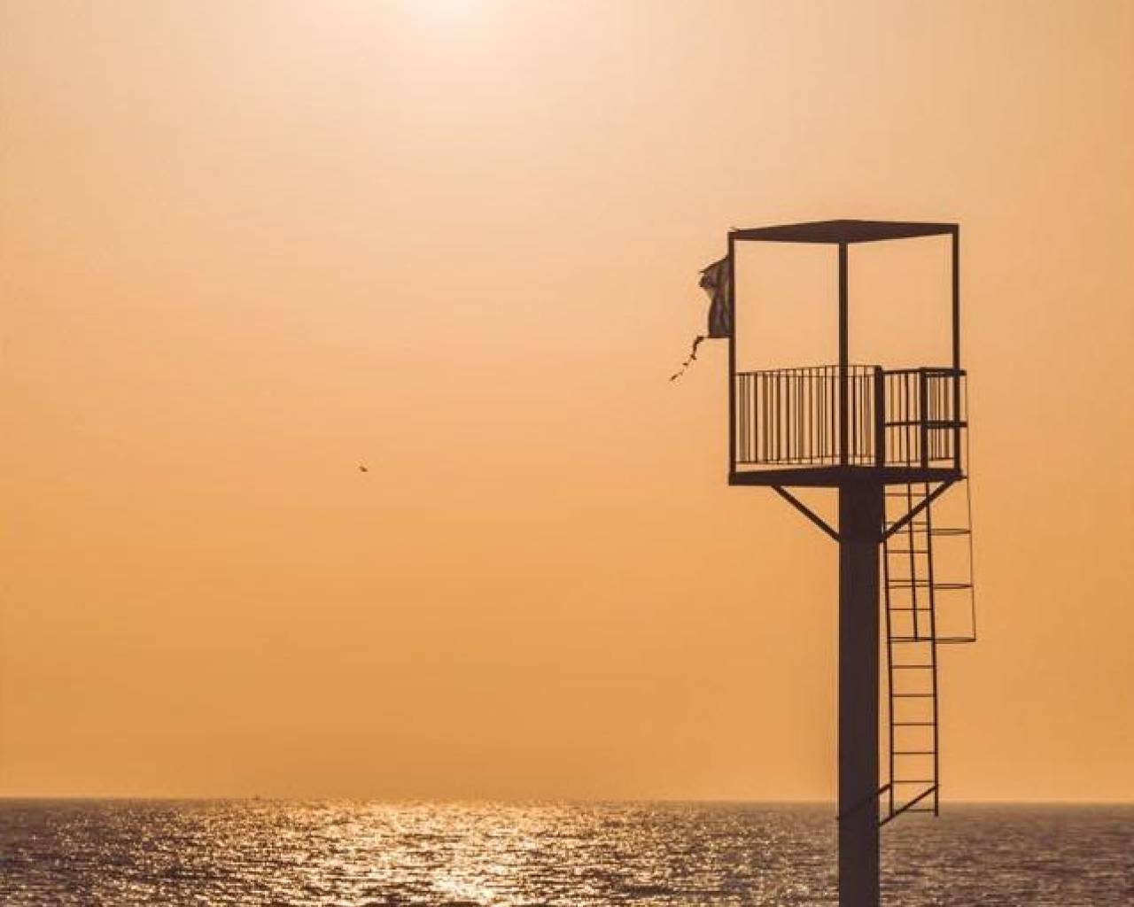 New Build - Apartments - Almerimar