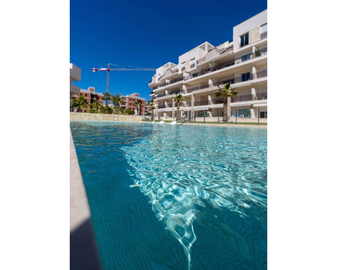 Nueva construcción  - Apartamentos - Guardamar del Segura - El Raso