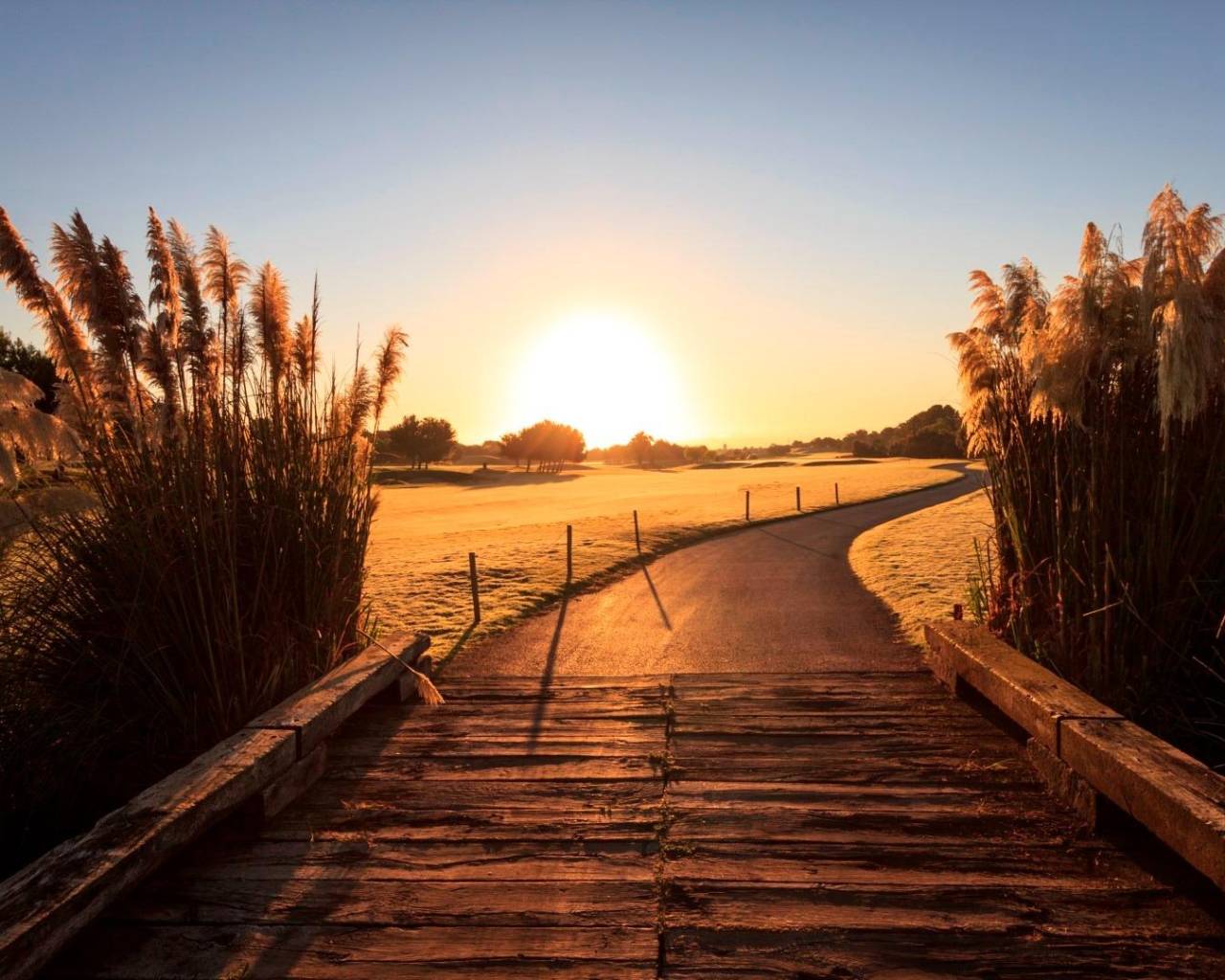  - Villas - Pilar de La Horadada - Lo Romero Golf