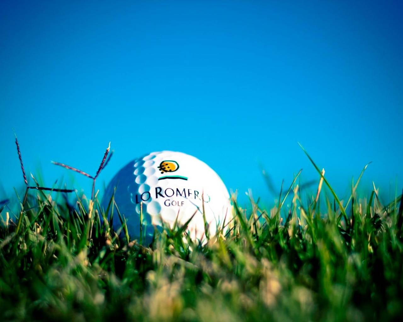  - Villas - Pilar de La Horadada - Lo Romero Golf