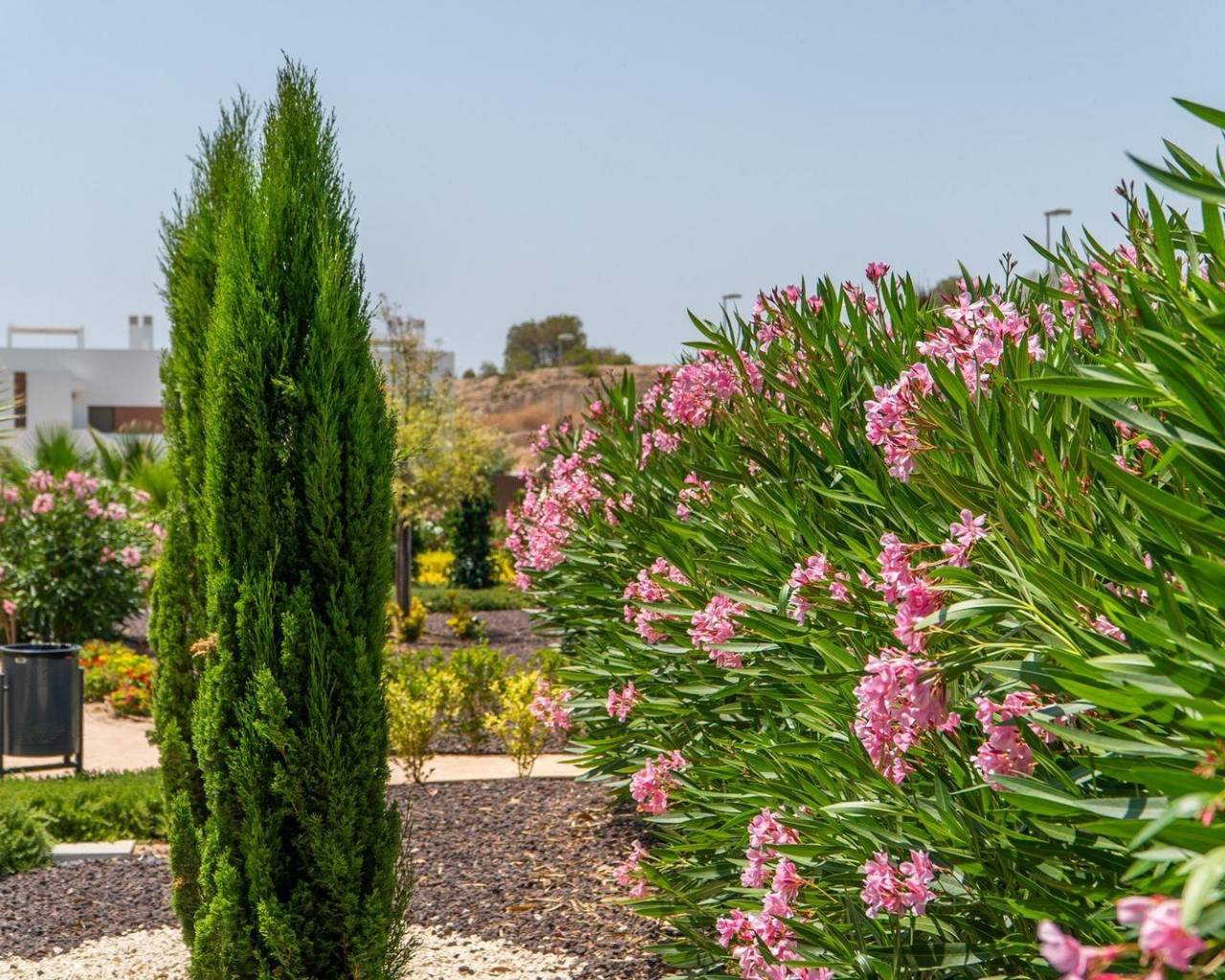 New Build - Top Floor Bungalow - Orihuela - Vistabella Golf