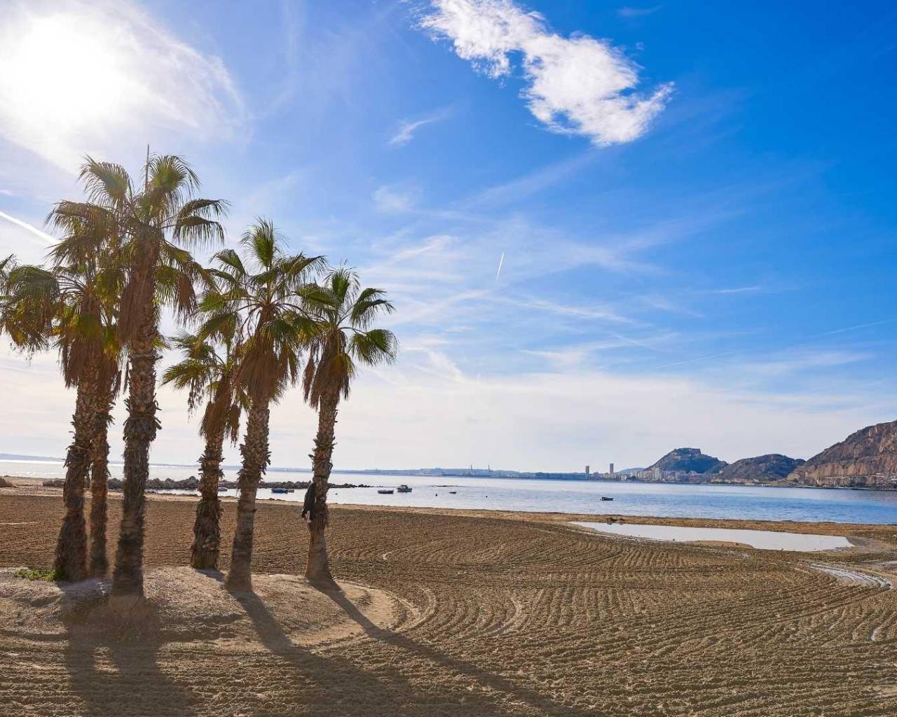 New Build - Villas - Els Poblets - Partida Barranquets