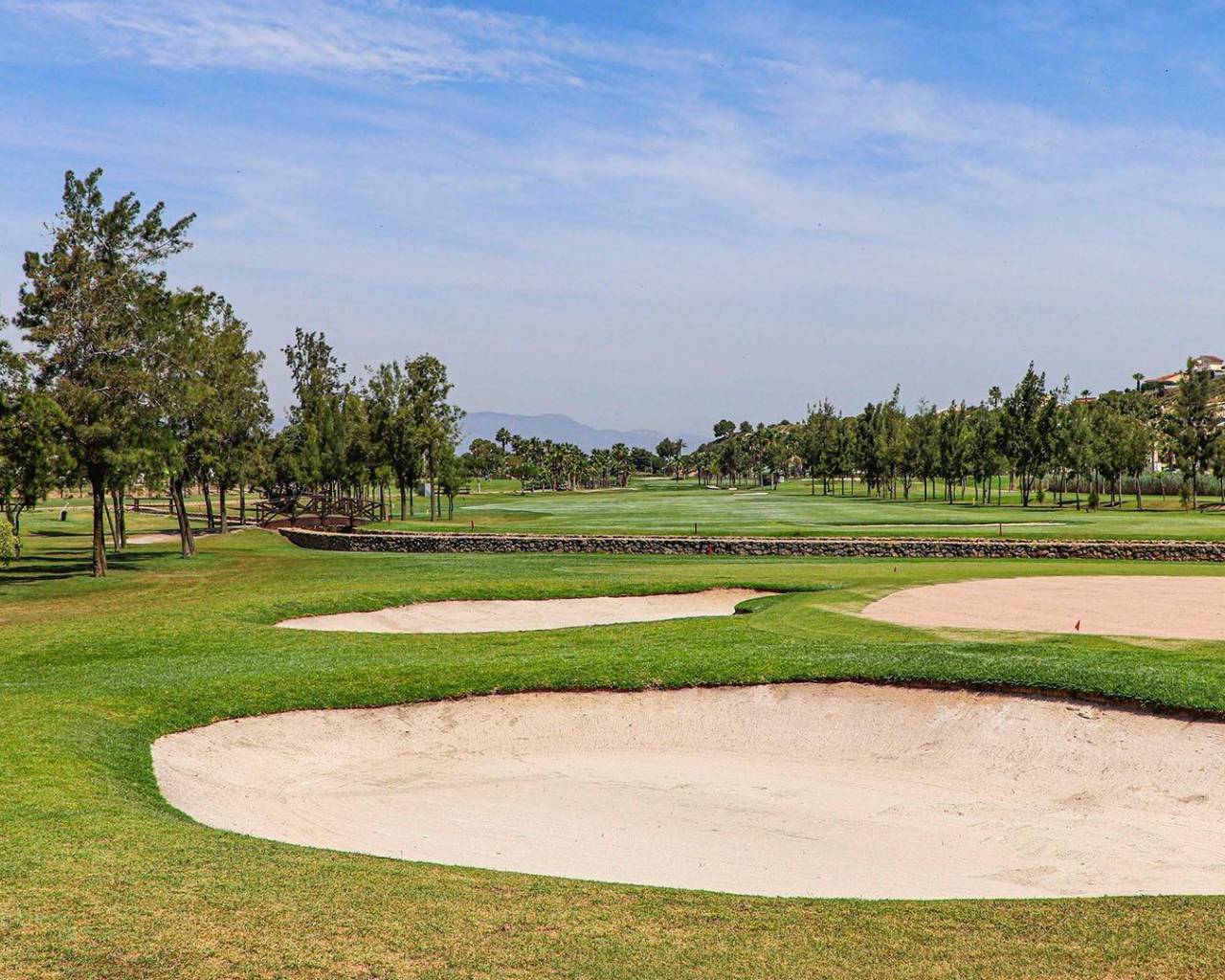 New Build - Villas - Rojales - Ciudad Quesada