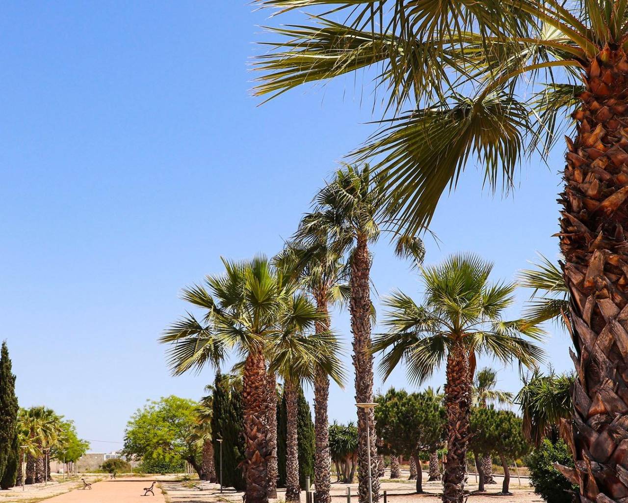 New Build - Villas - San Fulgencio - La Escuera