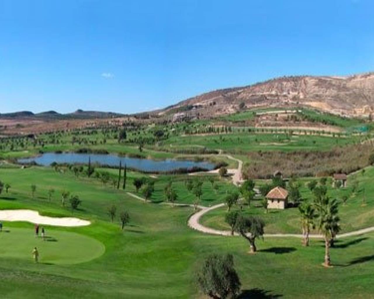  - Bungalow  / Townhouse - Algorfa - La Finca Golf