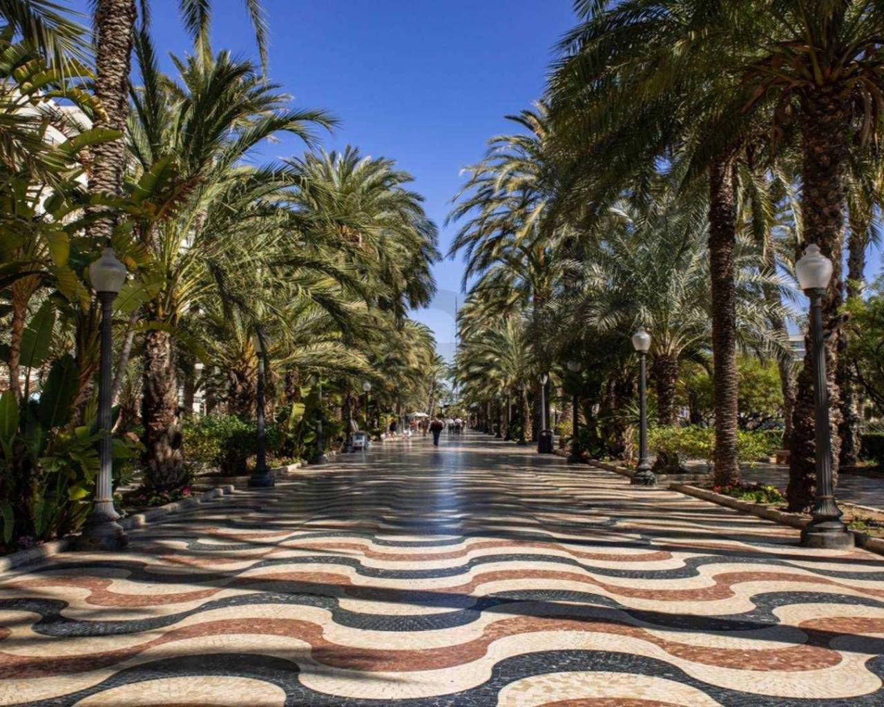 New Build - Apartments - Alicante - Centro