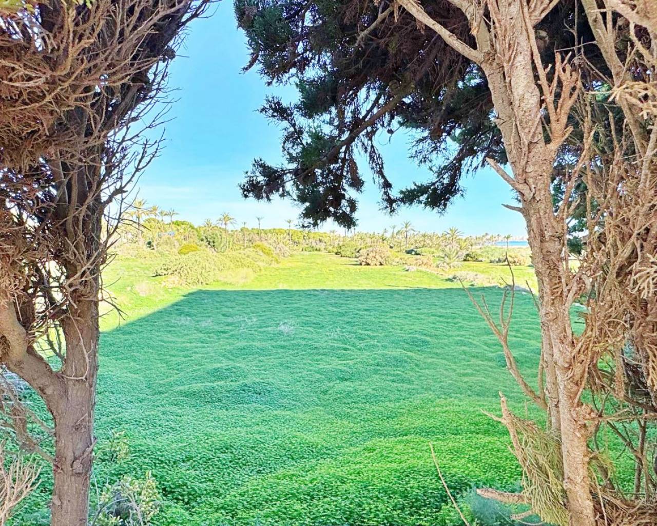 Resale - Apartments - Torrevieja - Rocio del Mar