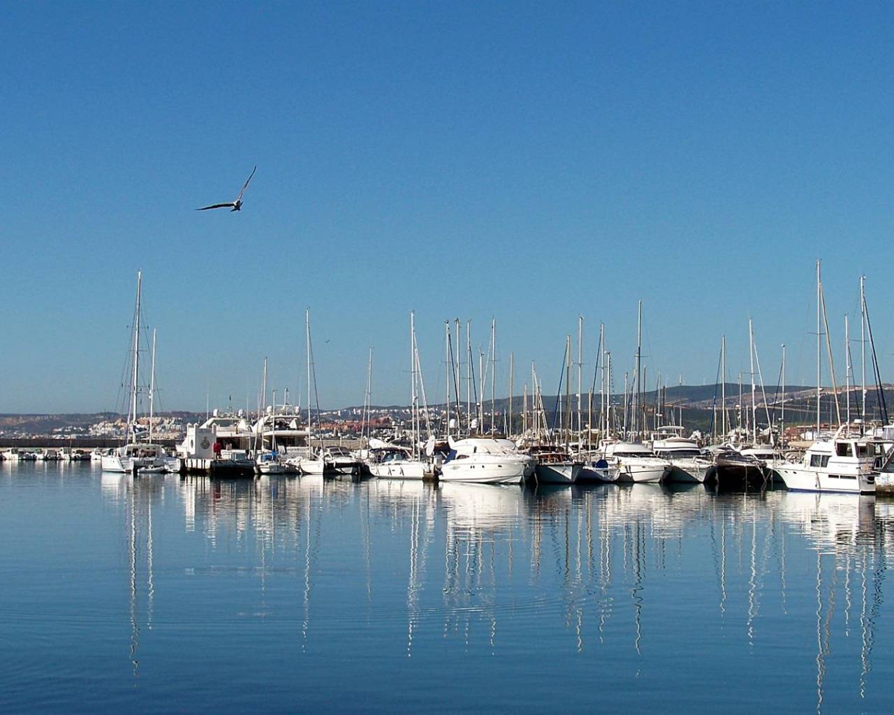 New Build - Apartments - Estepona - Buenas Noches