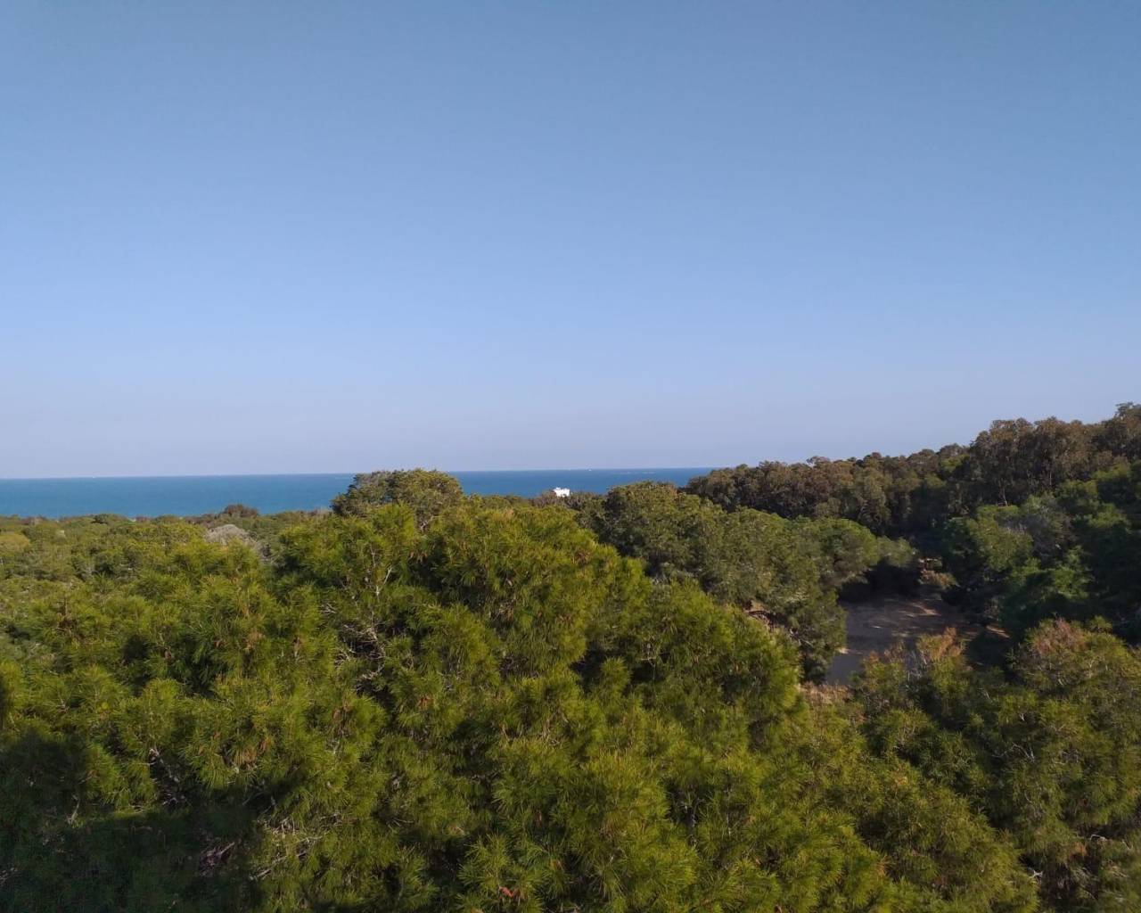 New Build - Ground floor apartment - Guardamar del Segura - Pueblo