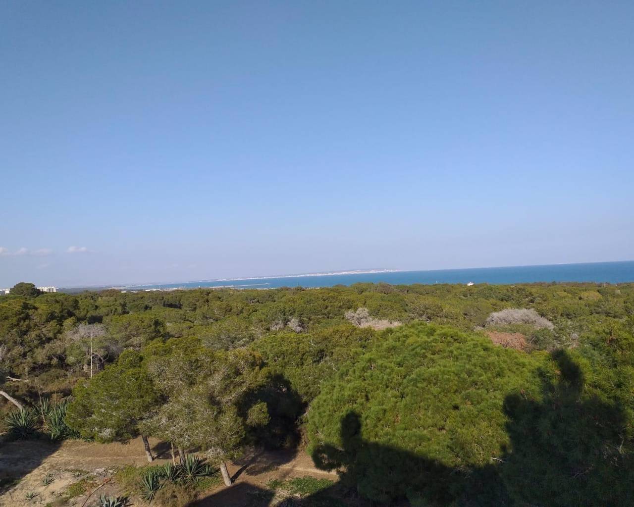 New Build - Apartments - Guardamar del Segura - Pueblo